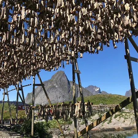 Διαμέρισμα Nusfjord Ocean View Rorbu 19